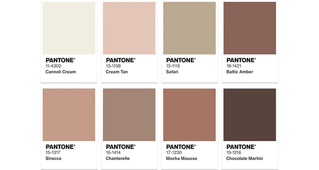 2025 Pantone Color - Mocha Mousse Palette