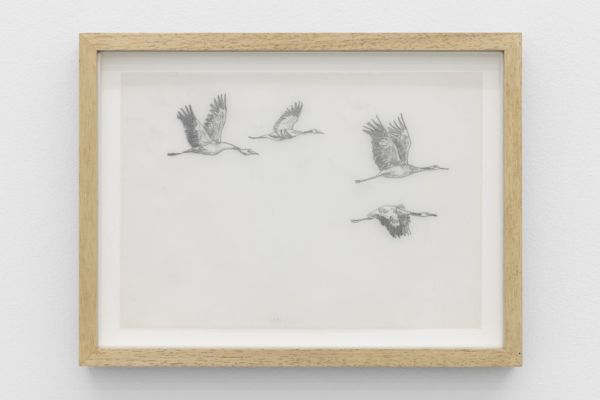 Gallery vera cortês at frieze london