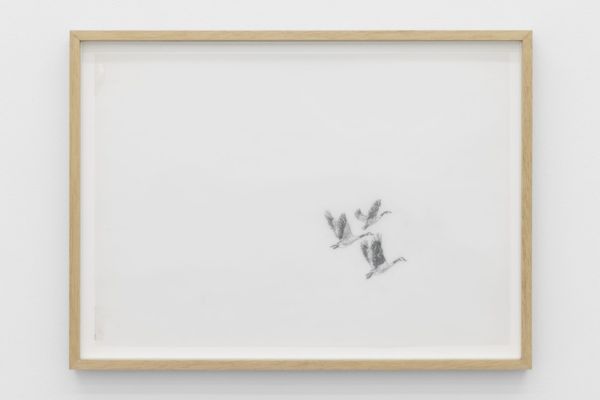 Gallery vera cortês at frieze london