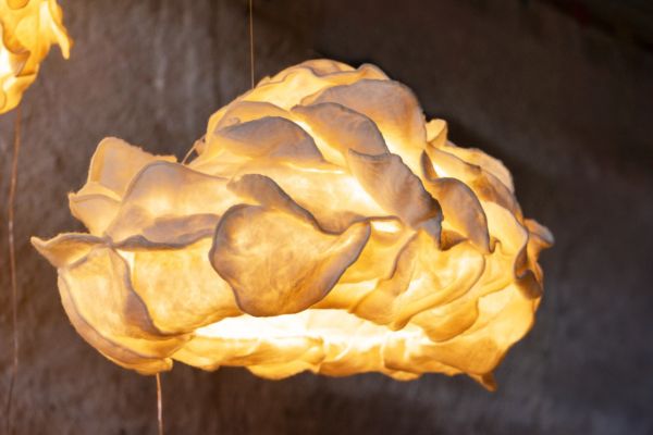 Pad london 2025 art & design suspension arandu estelar lamp by tiago braga