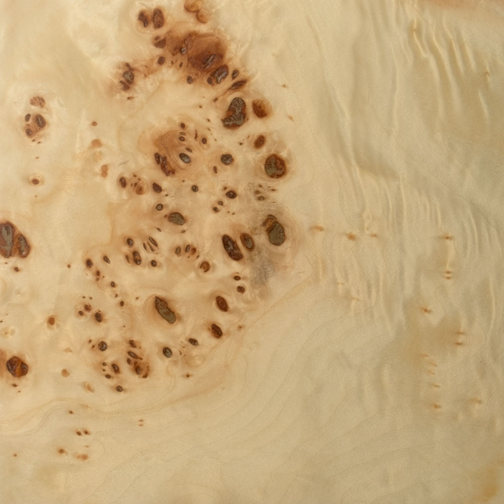 Poplar
