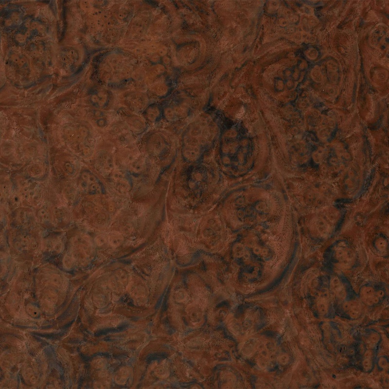 Walnut