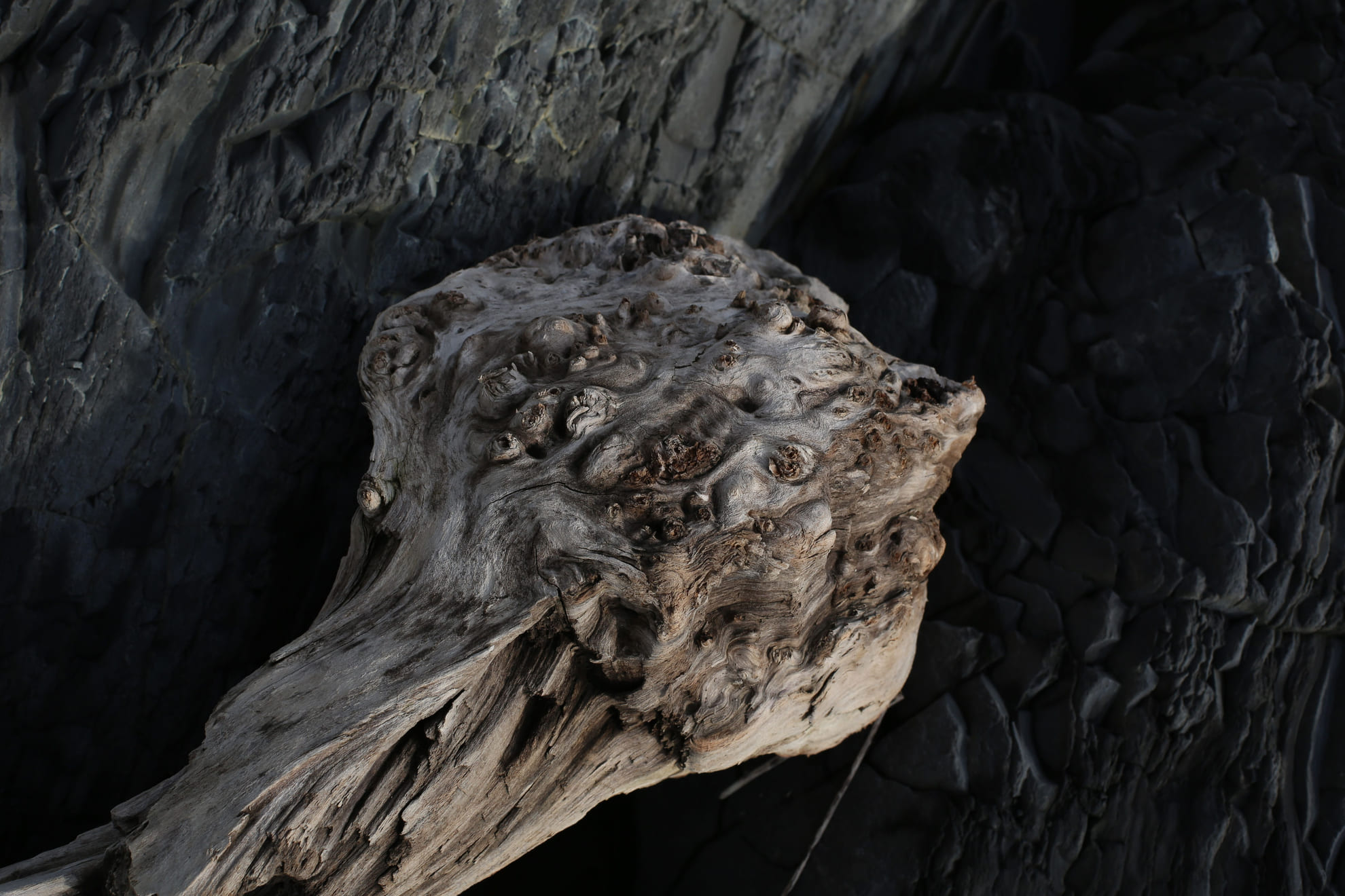 Wood carving