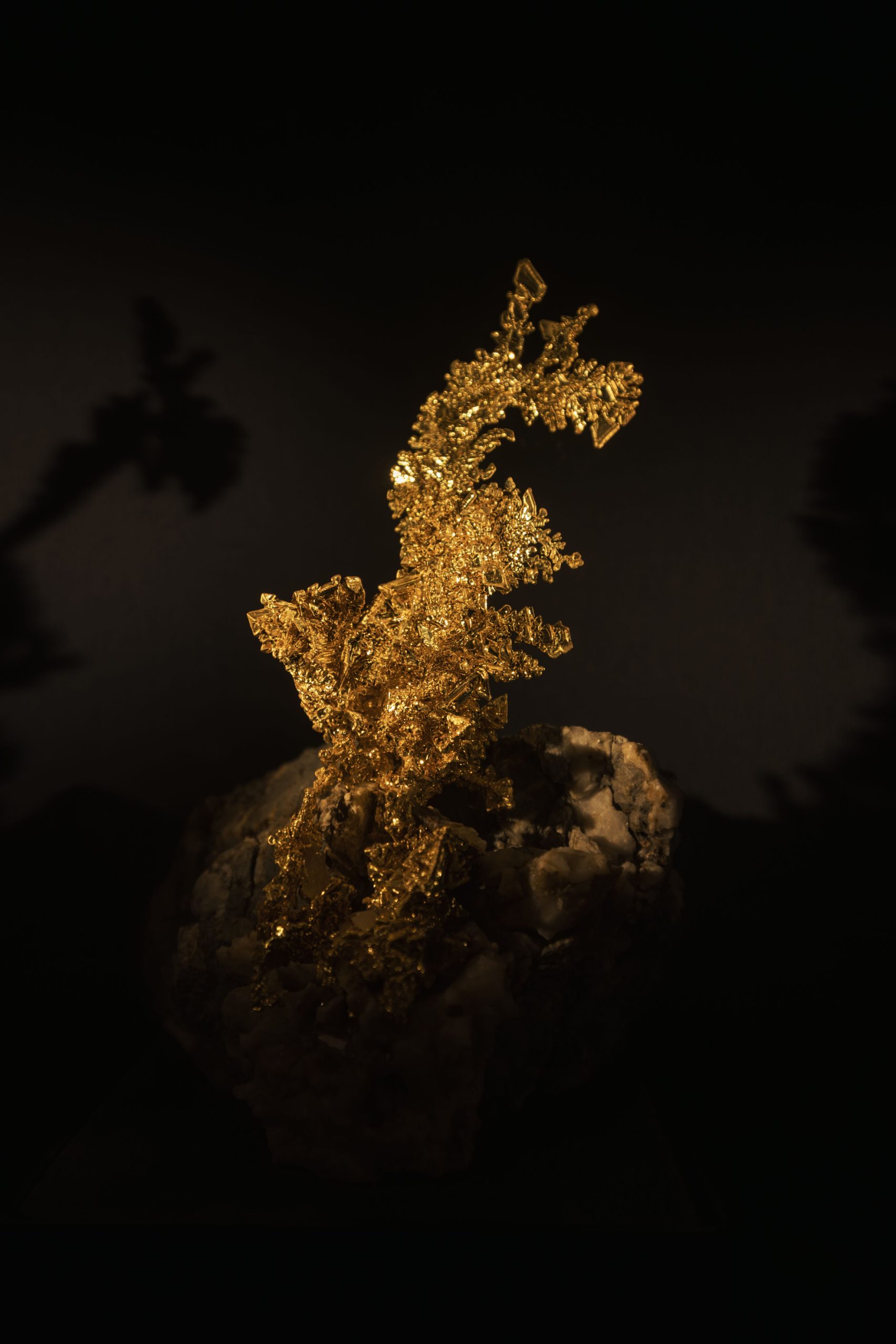 leafgilding-malabar