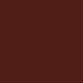 Cocoa bean